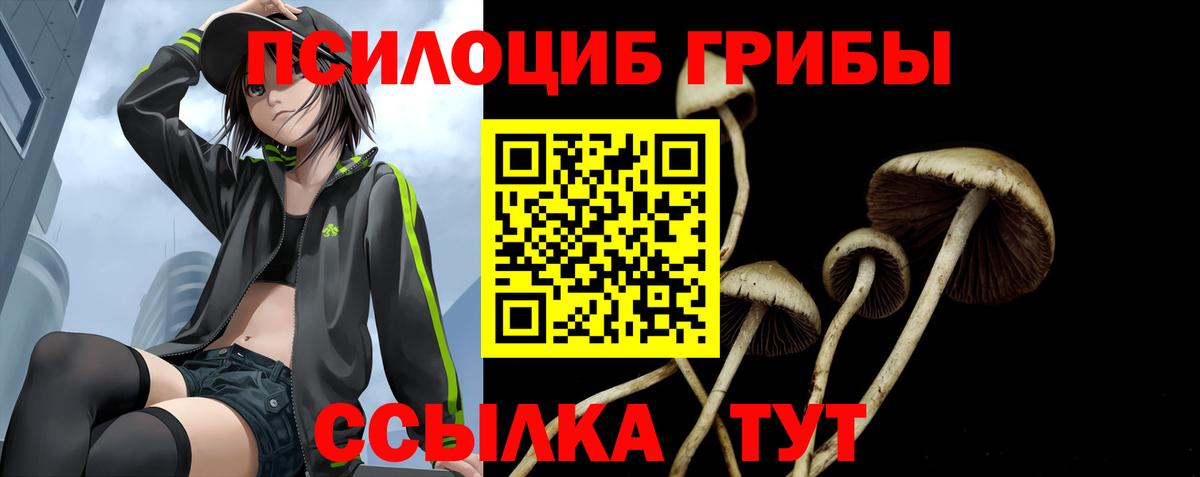 Первоуральск  Псилоцибиновые грибы Cubensis  Вход с VPN 